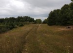 IMG_20190826_134724635