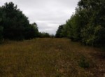 IMG_20190826_134225649