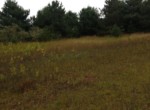 IMG_20190826_134206295