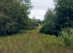 IMG_20190826_134132139