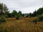 IMG_20190826_133956552