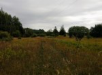 IMG_20190826_133919140