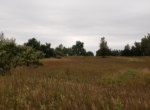 IMG_20190826_133841039