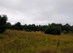 IMG_20190826_133837542