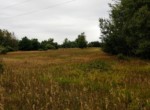 IMG_20190826_133756244