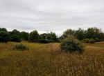 IMG_20190826_133748275