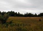 IMG_20190826_133743219