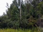 IMG_20190826_133722061