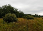 IMG_20190826_133703122