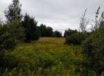 IMG_20190826_133649523