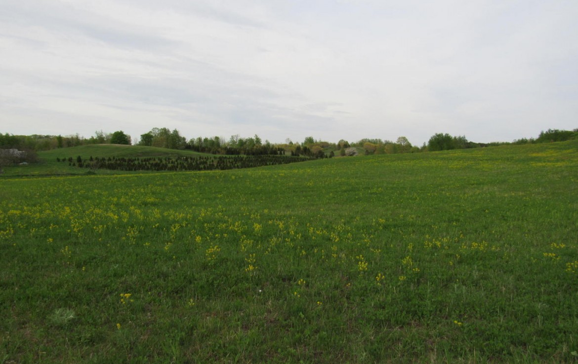 Whitehall Land Brokers Trophy Class Real Estate