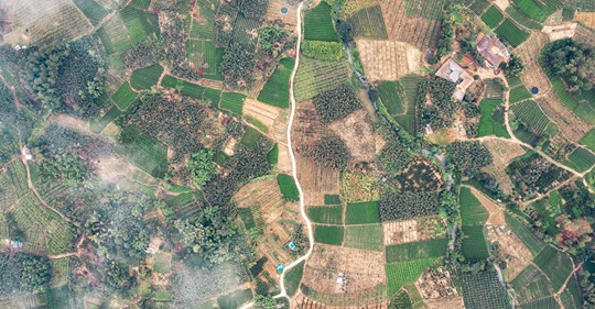 How to Invest in Land