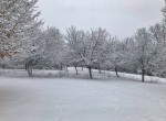 IMG_4752