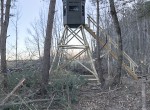 IMG_4418