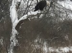 IMG_1014