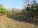 IMG_2545