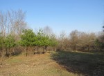 IMG_2544