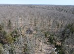 DJI_0490 (1)