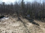 DJI_0503 (1)