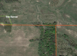 Tree Harvest map