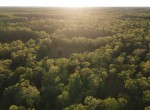 DJI_0772