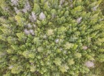 DJI_0846-2