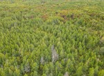 DJI_0847-2