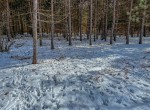 IMG_1931
