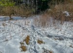IMG_1941