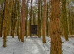 IMG_1943