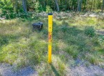 IMG_4934