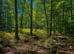 IMG_4937