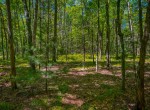 IMG_4938