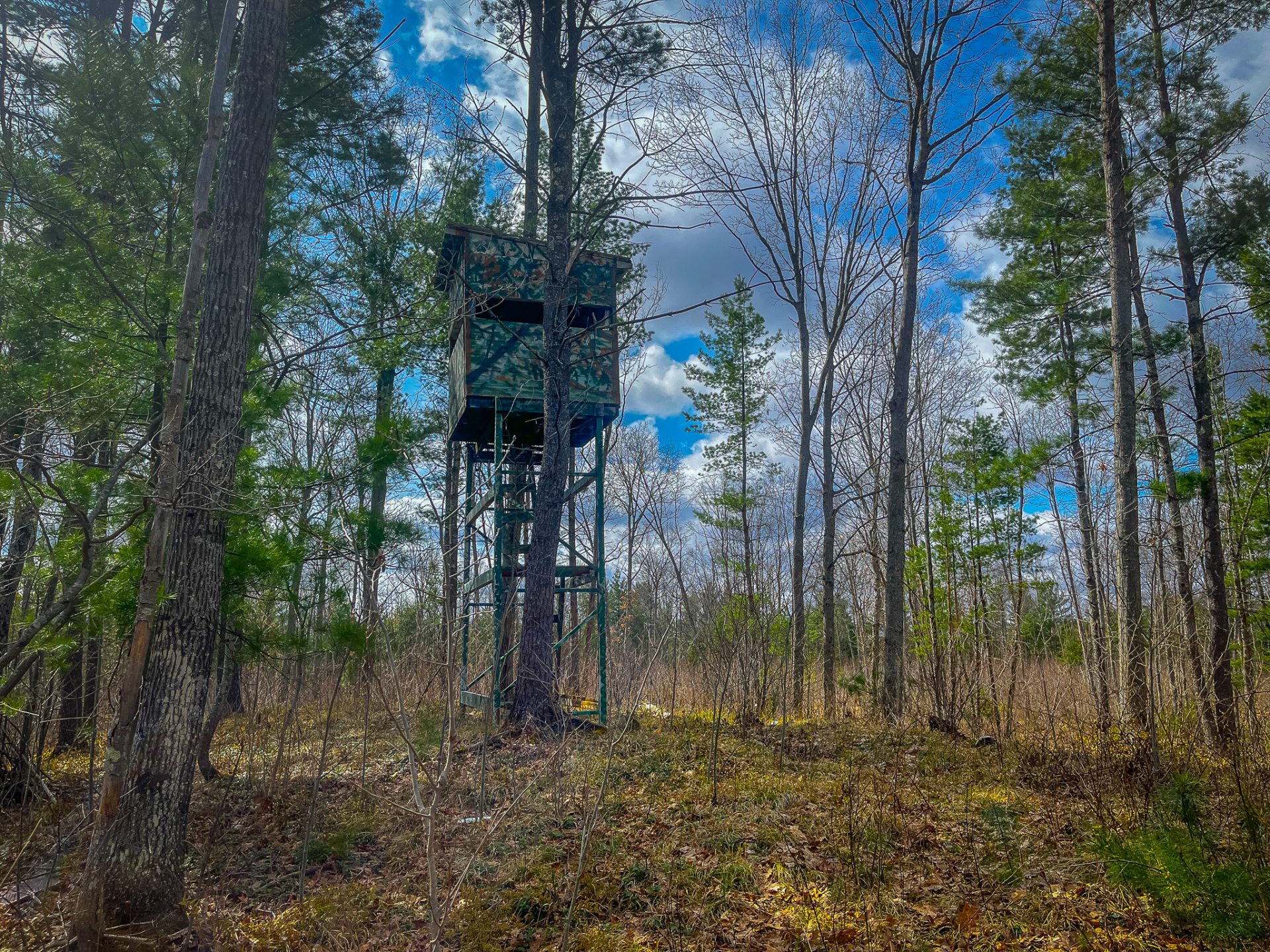 55 Acres V/L Swihart Road, Brethren, MI 49619 Trophy Class Real Estate