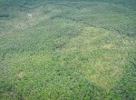 DJI_0583