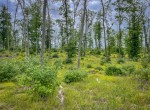 IMG_0128