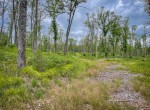 IMG_0141