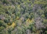 dji_fly_20230818_104620_687_1692370061100_photo