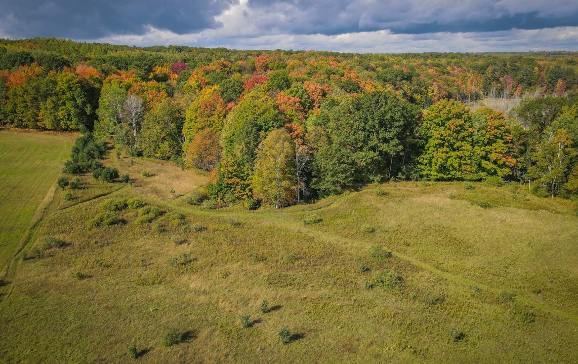 8557 N State Rd, Luther, MI 49656 / 35.5 Acres Pine River Frontage