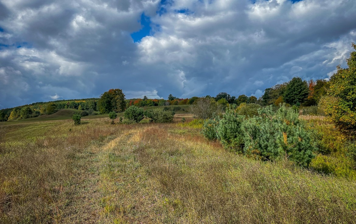 8557 N State Rd, Luther, MI 49656 / 35.5 Acres Pine River Frontage