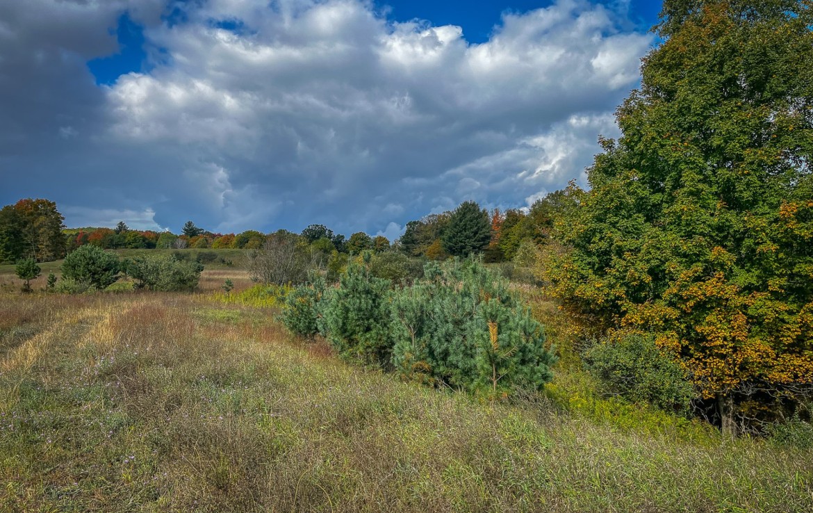 8557 N State Rd, Luther, MI 49656 / 35.5 Acres Pine River Frontage