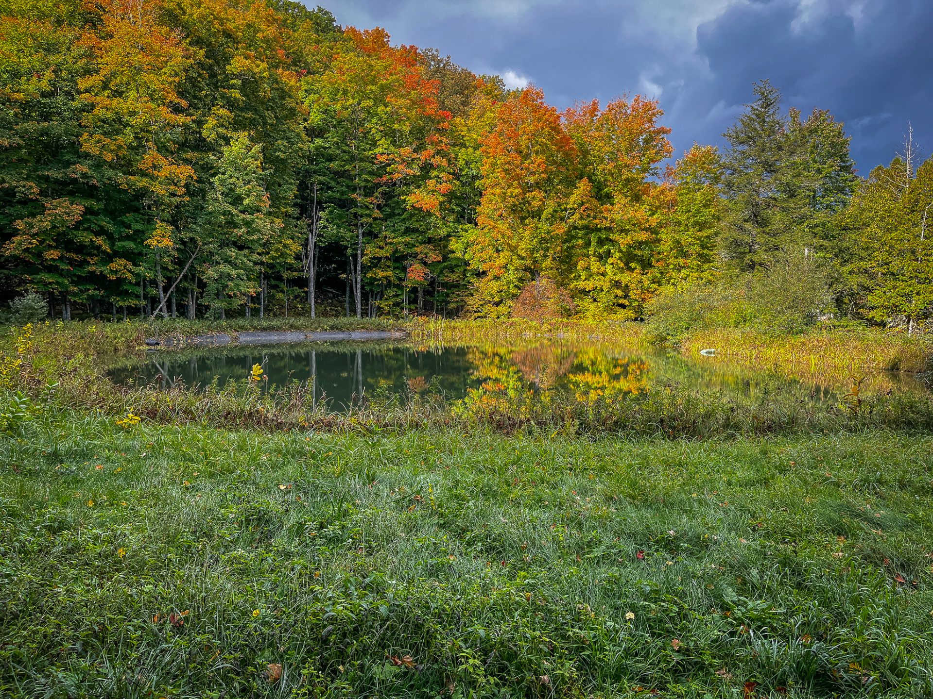 8557 N State Rd, Luther, MI 49656 / 35.5 Acres Pine River Frontage