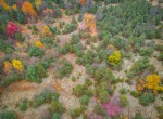 dji_fly_20231024_114510_48_1698162432075_photo-2