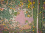 dji_fly_20231024_114932_55_1698162583142_photo-2