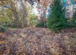 IMG_1074