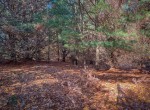 IMG_1075