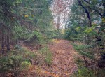 IMG_1078