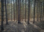 IMG_1079
