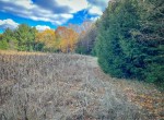 IMG_1071