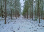 DJI_0172
